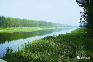 春天：嫩芽破土，生机盎然