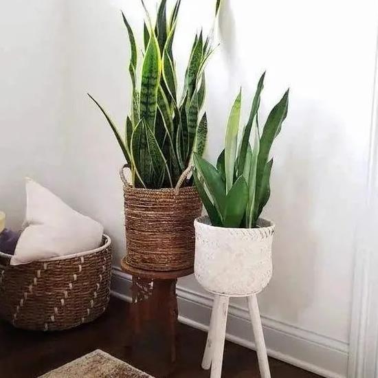 商务场合，寓意要讲究