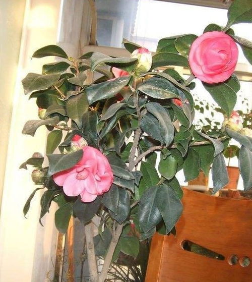 养护管理， 轻松搞定