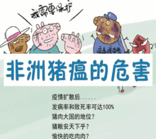 应对猪瘟，加强防疫监测