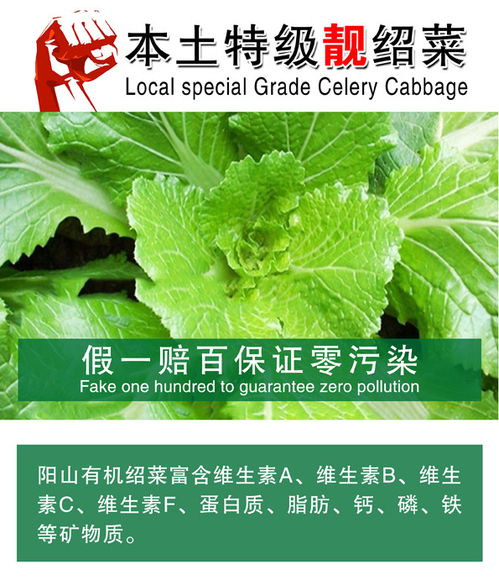 使用百菌清的注意事项