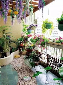 冬天防寒，春天绽放