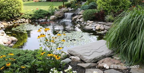 打造自然水景：不是件容易的事