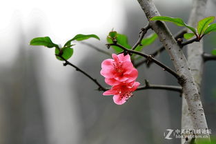 第一步：拍拍拍