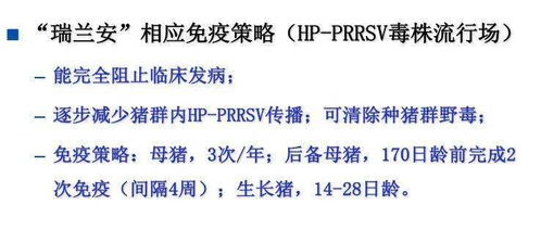 猪场选蓝耳疫苗，如何避免盲目用苗风险？