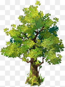 第五步：管理和使用