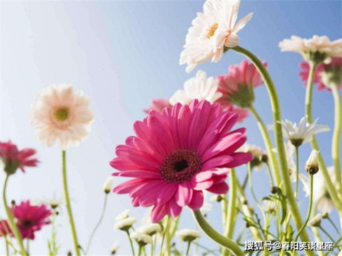 实战经验：如何防虫省药50%