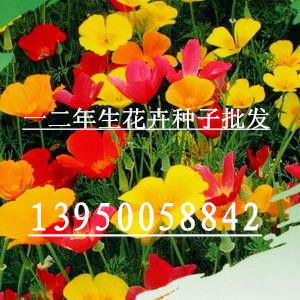 水土流失的危害及治理