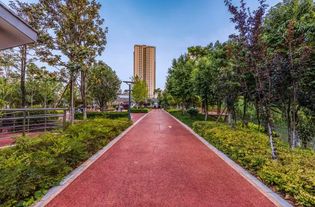 野路子：模仿自然生长状态