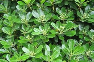 雨季特惠与整车直采