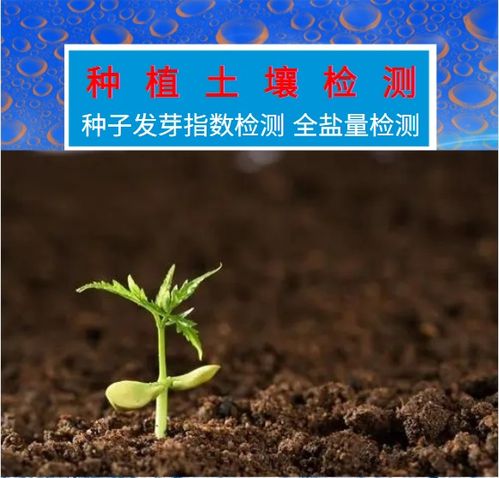 绿化种植土壤检测标准的重要性