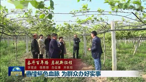 月季花开， 美不胜收