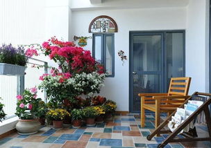 适合家庭阳台种植的花卉有哪些？