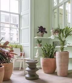 绿植与空间的共生艺术