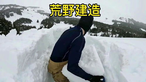 冬季严寒，鸡只户外生存挑战：保暖策略与防冻措施