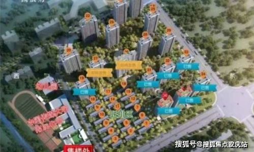 蒲公英可以生吃吗？这种情况下千万别生吃