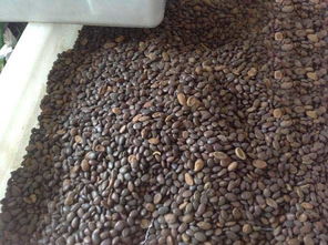 种植户和采购商如何把握市场行情？