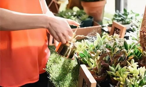 防范低温伤害， 抗寒锻炼是关键