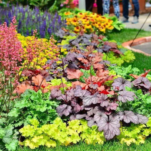 公园里的神秘香气之谜