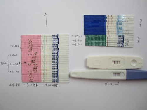 磷钾肥有哪些使用禁忌？用错了小心适得其反