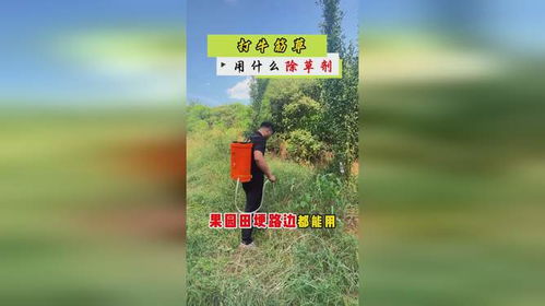 二、 视频里的除草剂怎么用