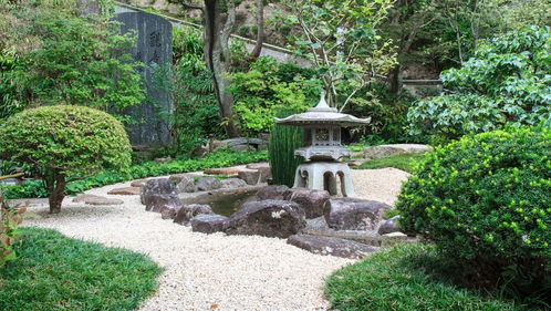 园林施工转设计：跨界之旅， 挑战与机遇并存