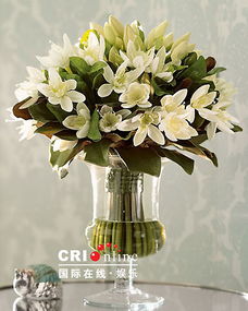 家庭养花温度控制大揭秘：四季变换， 室内绿植怎么“保暖”