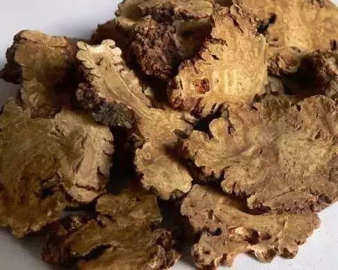 川芎在什么季节播种最为适宜，何时是川芎的最佳播种时间