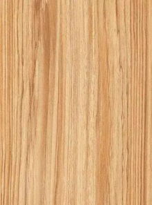 柚木5年成材之谜：是真的吗？