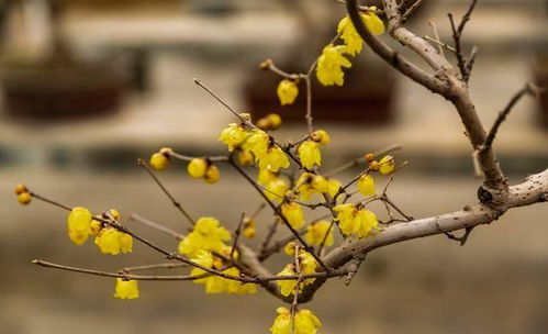 文化内涵, 各自承载着不同的故事