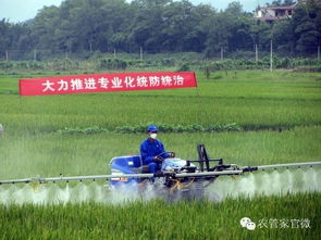 神器四：秧苗运输设备