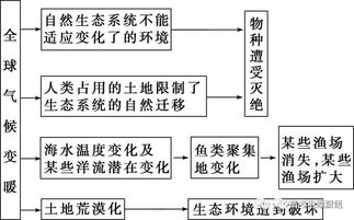 揭秘农业循环：水循环的关键一环，如何优化以提升产量？