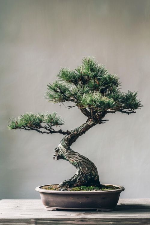 2. 水肥管理养护