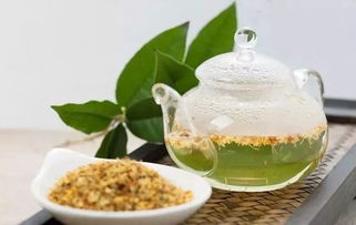 桂沁园茶叶价格表：广西特色德道茶，一斤多少钱？