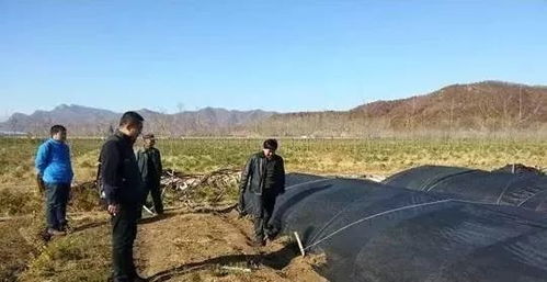 冬灌工作， 不嫩马虎