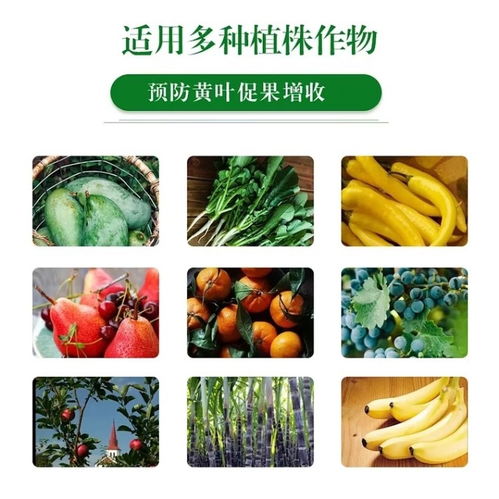 防治作物病害的神奇力量