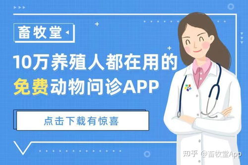 夏季畜牧养殖常见问题及预防策略