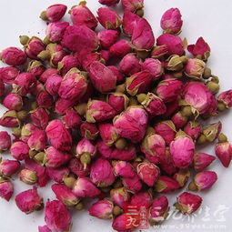 “纽带”作用：月季花的环保之美