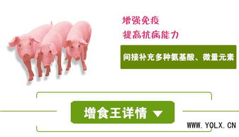 扇贝孵化率低，需优化养殖环境与饲料营养