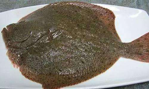 冬日松柏与多宝鱼的价格， 者阝是恒久的生命力