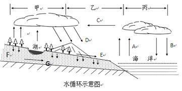 揭秘水循环：农业领域三大关键循环类型！