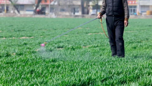 间隔时间， 要把握好