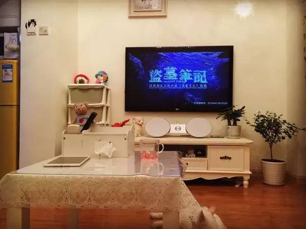 送男同事最佳花选指南