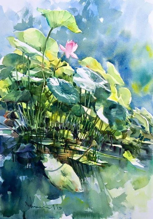 花瓣半边黄，色彩斑斓