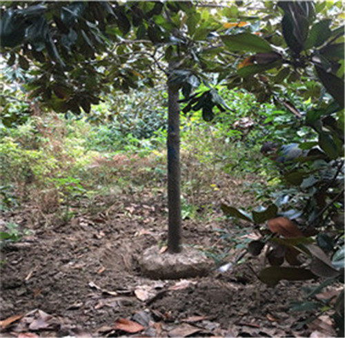 第二章：发货地点大揭秘