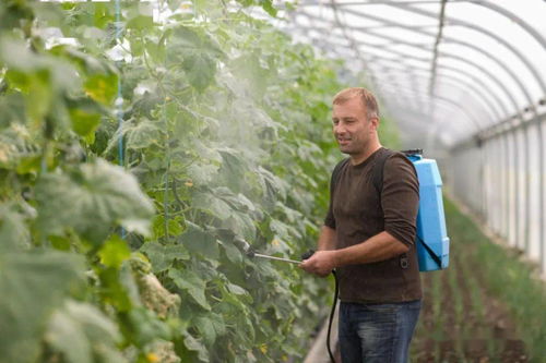 种子发芽时的农药喷洒：平安还是凶险？