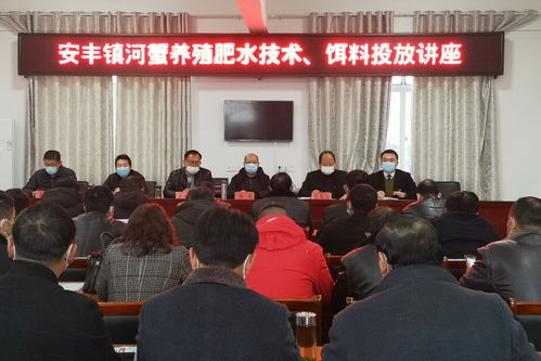 创新河蟹养殖技术，打造高效生态渔业