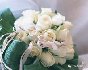 自由的花朵在自然中象征着什么它又蕴含着怎样的深层意义呢