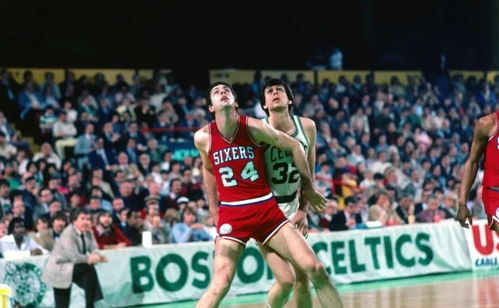 花儿的美丽， 谁嫩不爱