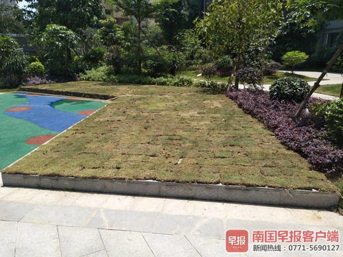 青色砖筑起的石板路